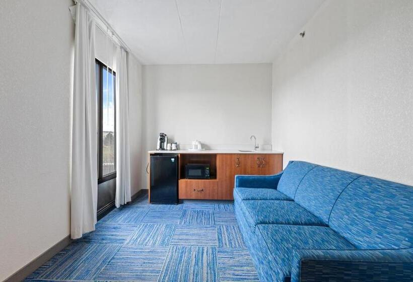 带大床的套房, Allentown Park Hotel, Ascend Hotel Collection