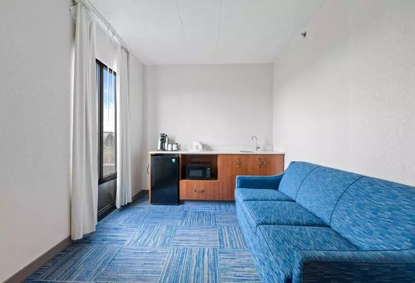 سوئیت با تخت بزرگ, Allentown Park Hotel, Ascend Hotel Collection