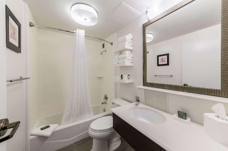 스탠다드 룸 킹사이즈 침대, Allentown Park Hotel, Ascend Hotel Collection