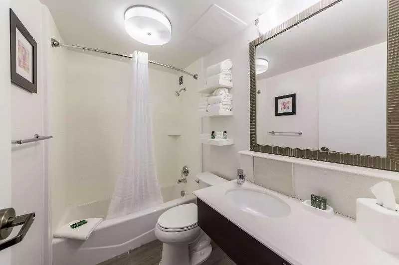 اتاق استاندارد با تخت بزرگ, Allentown Park Hotel, Ascend Hotel Collection