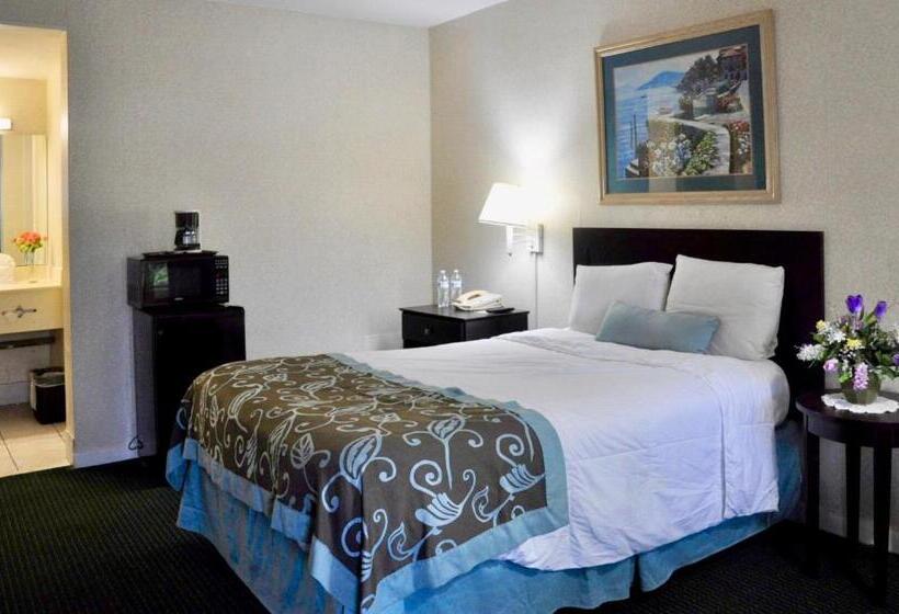 标准单人间, Azalea Inn & Suites