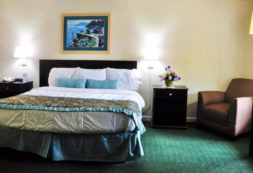 キングサイズベッドのスタンダードルーム, Azalea Inn & Suites