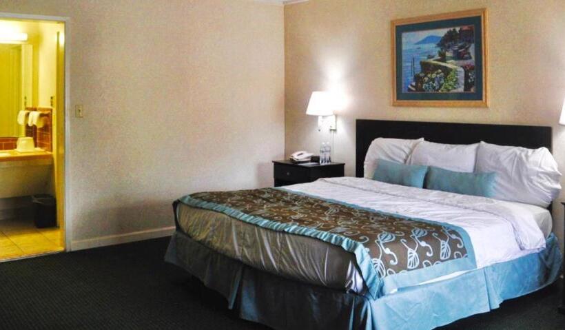 带大床的标准间, Azalea Inn & Suites