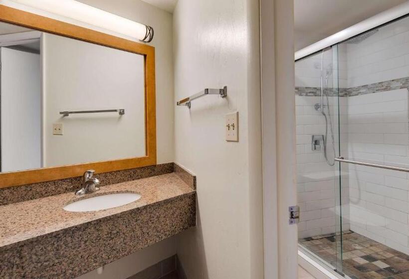 스탠다드 룸 킹사이즈 침대, Best Western East Zion Thunderbird Lodge