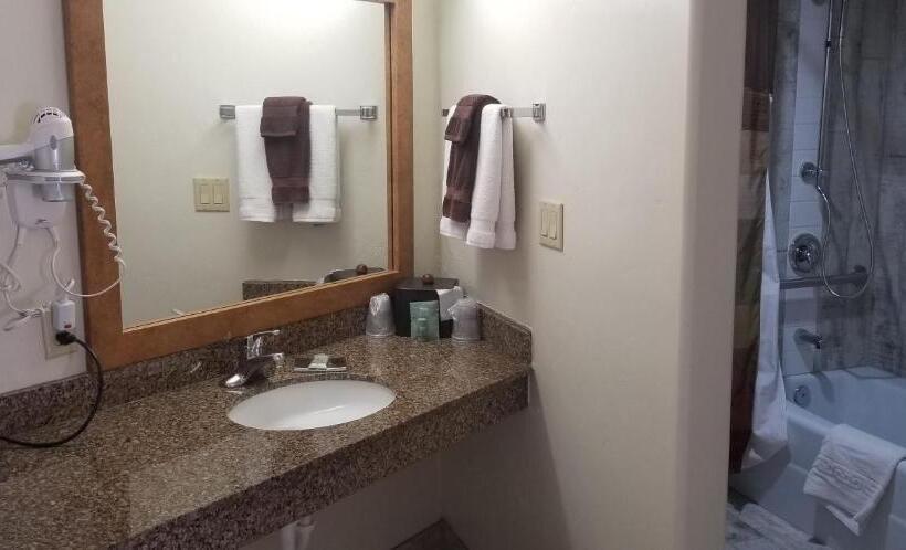 اتاق استاندارد برای معلولان, Best Western East Zion Thunderbird Lodge