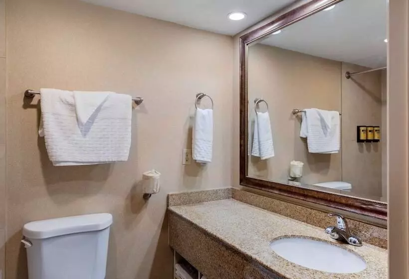 سوییت, Best Western Plus Big America
