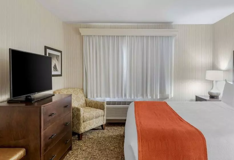 سوییت, Best Western Plus Big America