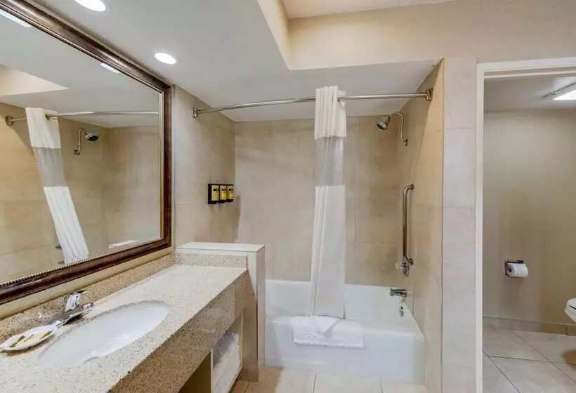اتاق استاندارد, Best Western Plus Big America