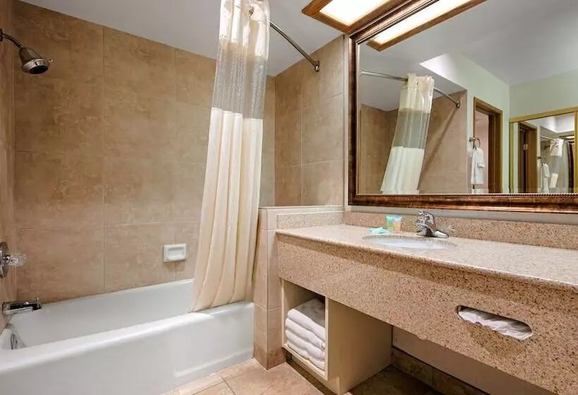 اتاق استاندارد, Best Western Plus Big America