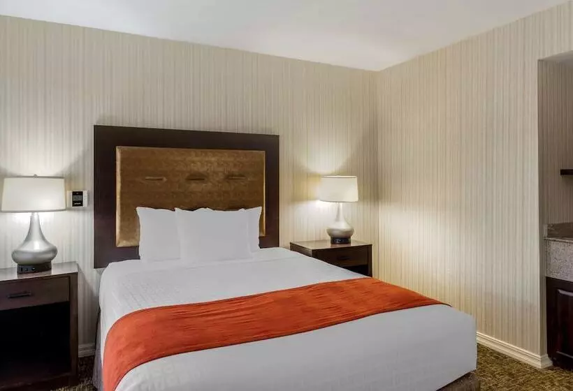 اتاق استاندارد, Best Western Plus Big America
