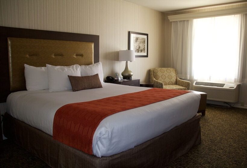 غرفة قياسية, Best Western Plus Big America