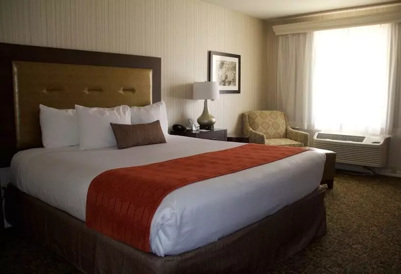 اتاق استاندارد, Best Western Plus Big America
