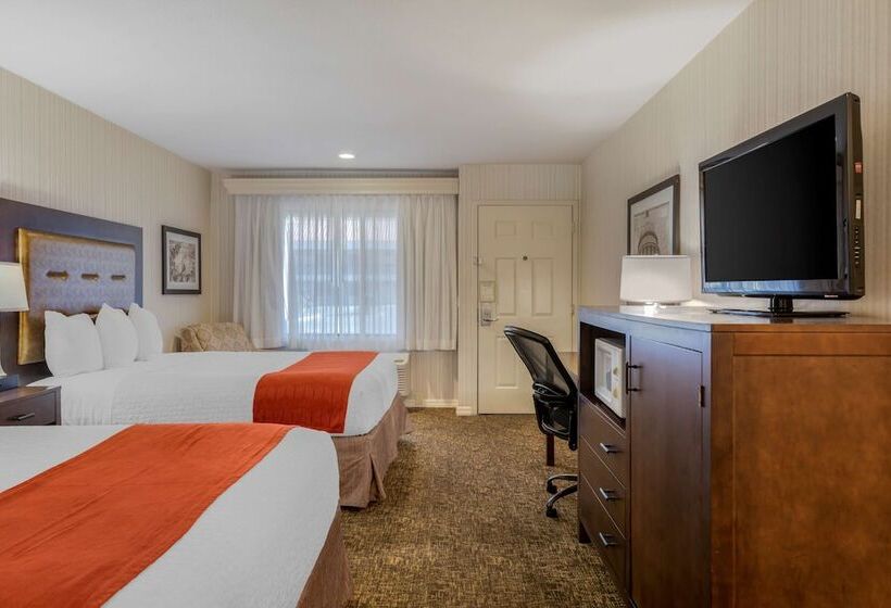 جناح, Best Western Plus Big America