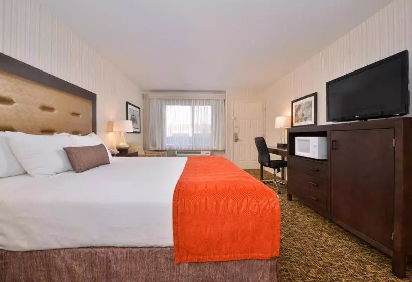اتاق استاندارد با تخت بزرگ, Best Western Plus Big America