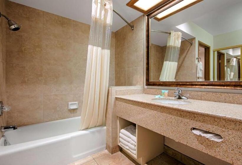 Mini Suite, Best Western Plus Big America