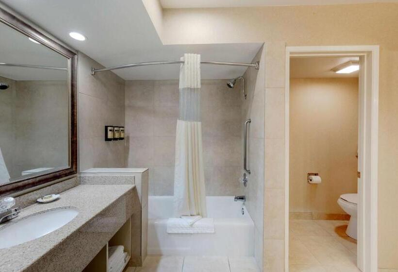 غرفة قياسية سرير كينج لذوى الإحتياجات الخاصة, Best Western Plus Big America