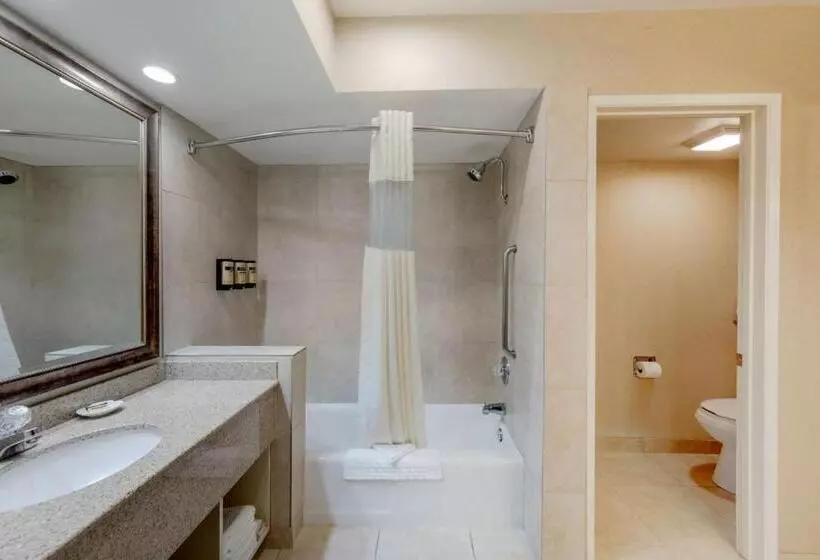اتاق استاندارد با تخت بزرگ برای معلولان, Best Western Plus Big America