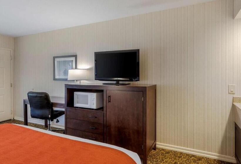 غرفة قياسية سرير كينج لذوى الإحتياجات الخاصة, Best Western Plus Big America