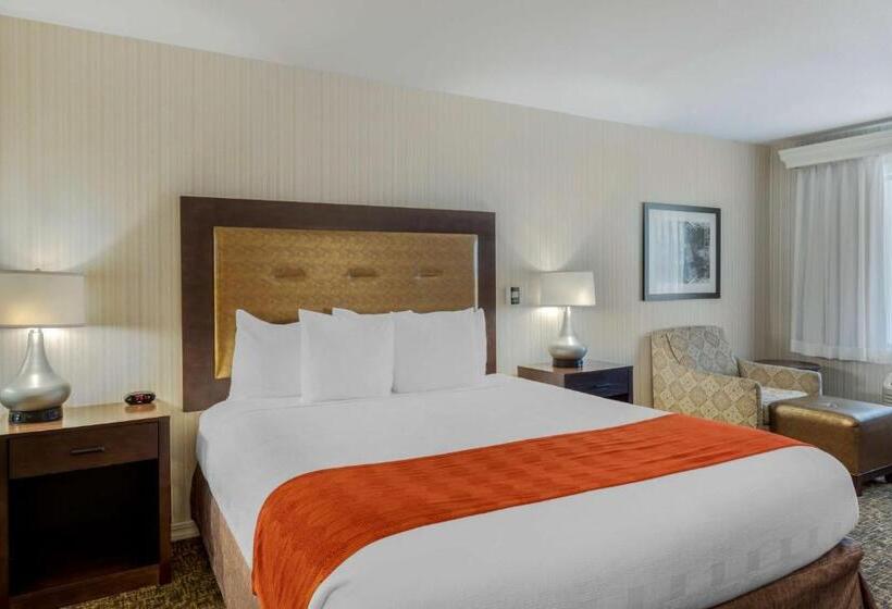 غرفة قياسية سرير كينج لذوى الإحتياجات الخاصة, Best Western Plus Big America