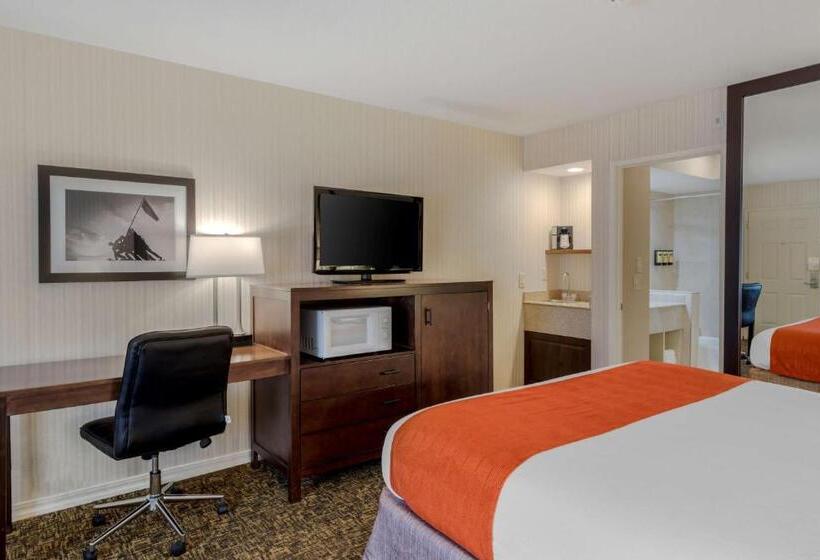 장애인을 위한 킹사이즈 침대 스탠다드 룸, Best Western Plus Big America