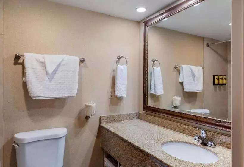 سوییت لوکس, Best Western Plus Big America