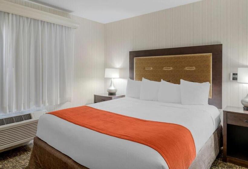 جناح ديلوكس, Best Western Plus Big America