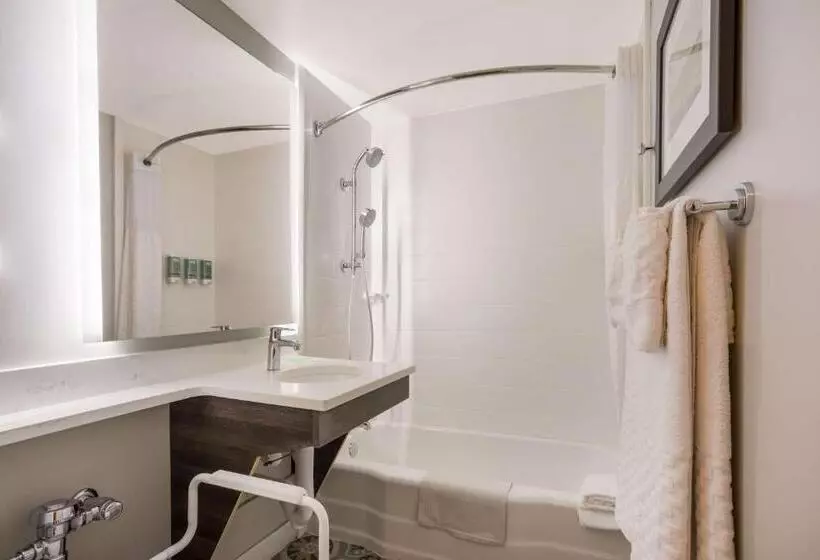 身障者適用キングサイズベッドルーム, Best Western Sea Island Inn