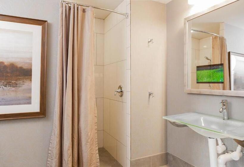 带大床的标准间, Blackhawk, Autograph Collection