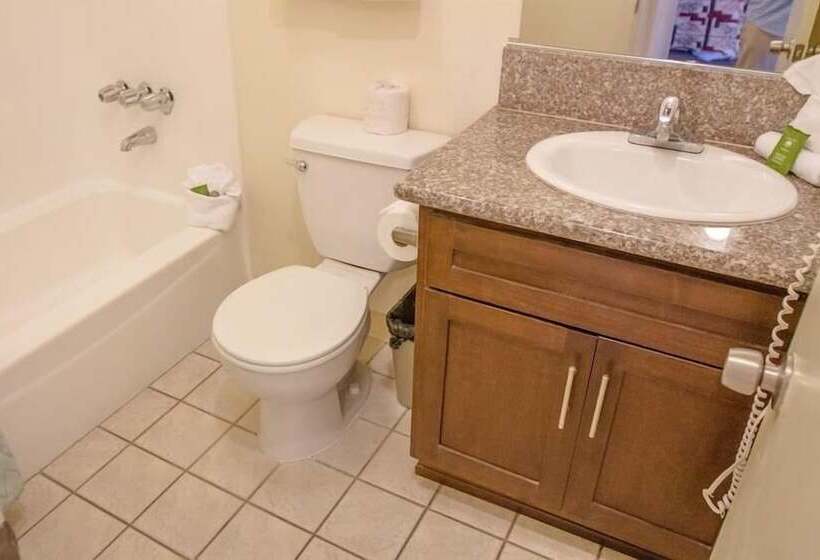 带2个双人床的标准工作室, California Suites