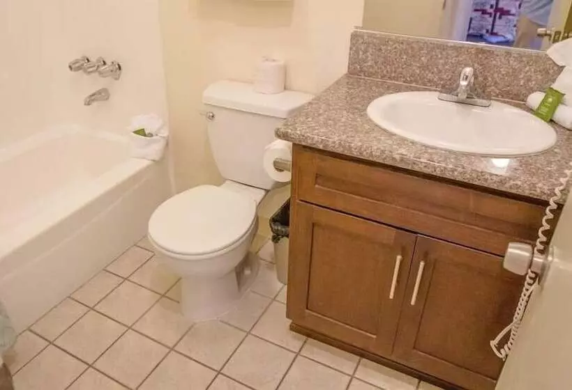 اتاق استاندارد با 2 تخت دوبل, California Suites