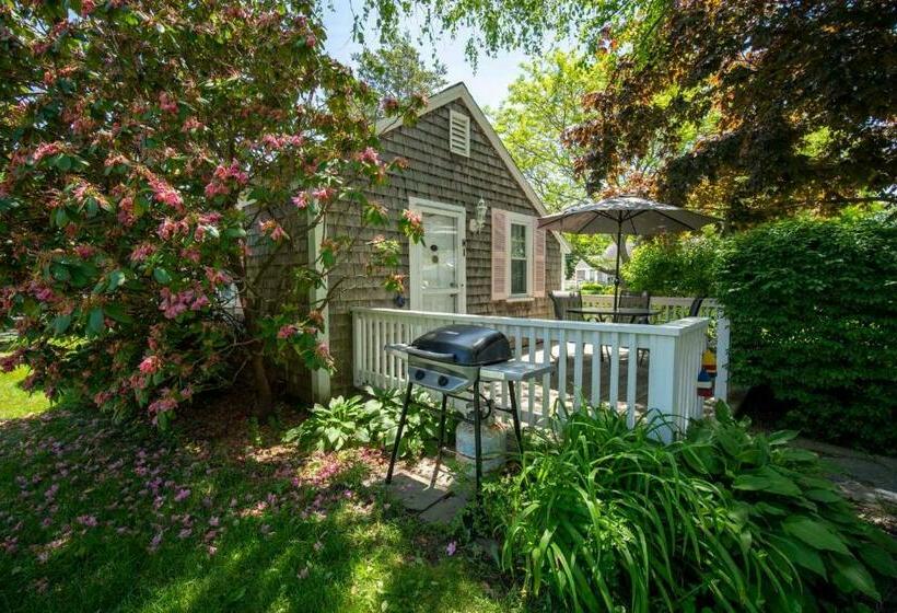 استودیوی لوکس, Captain Gosnold Village