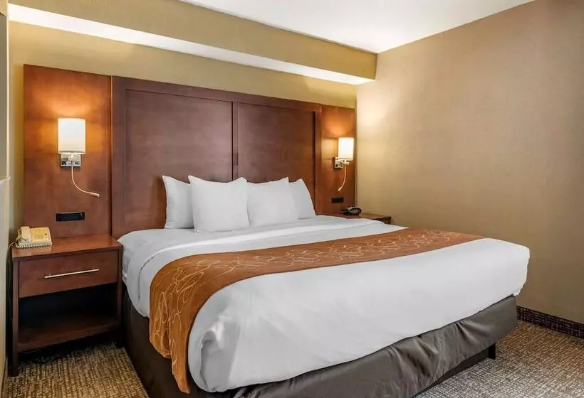 デラックススイート, Comfort Suites Baymeadows Near Butler Blvd