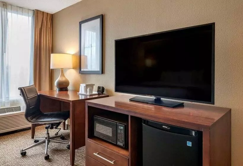 デラックススイート, Comfort Suites Baymeadows Near Butler Blvd