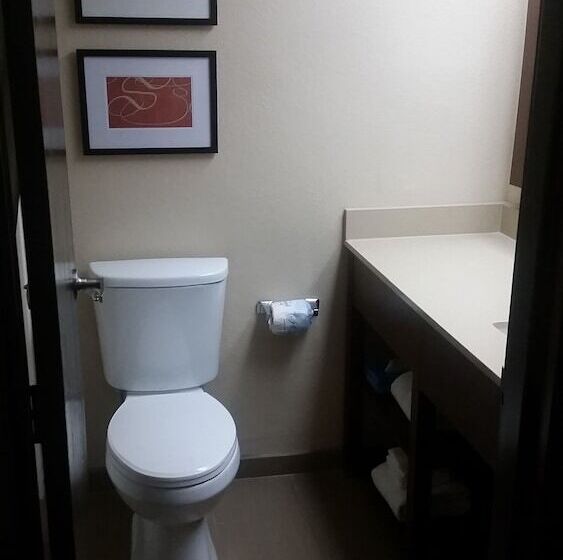 سوییت لوکس, Comfort Suites Baymeadows Near Butler Blvd