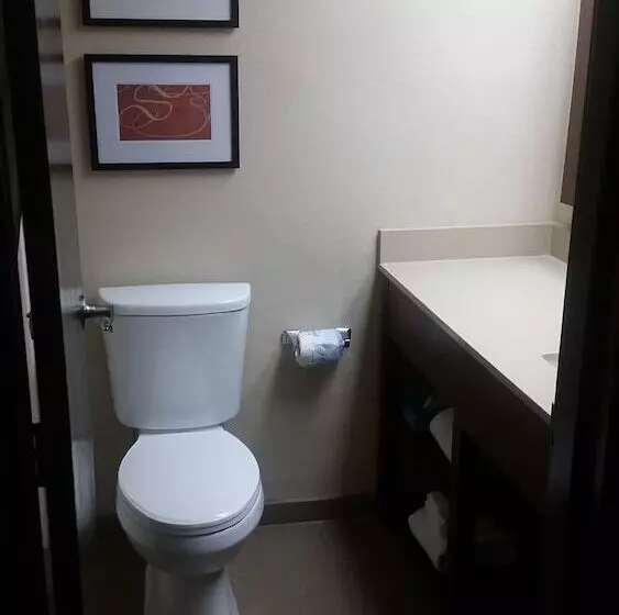 デラックススイート, Comfort Suites Baymeadows Near Butler Blvd