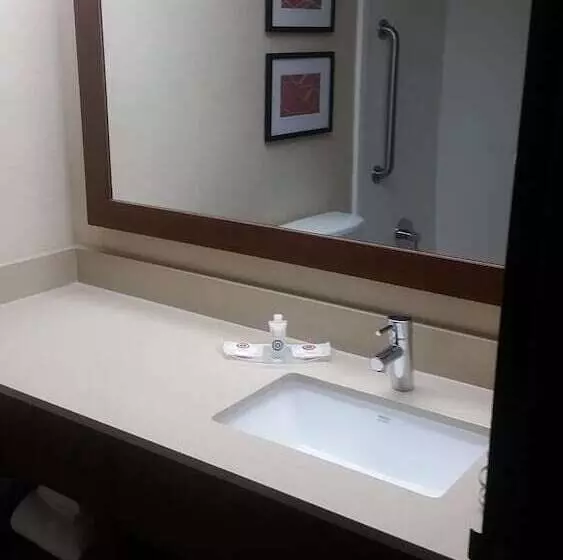 デラックススイート, Comfort Suites Baymeadows Near Butler Blvd