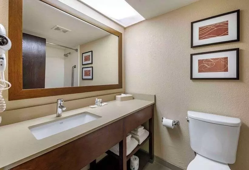 スイート, Comfort Suites Baymeadows Near Butler Blvd