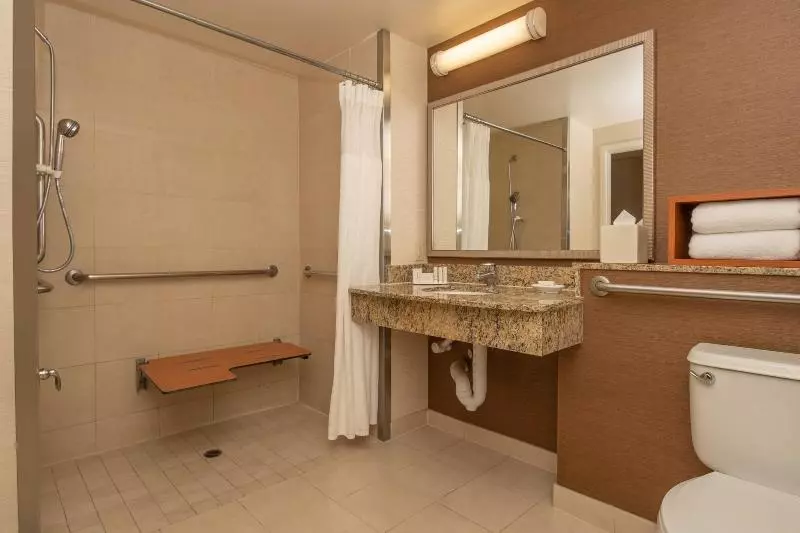 اتاق استاندارد با تخت بزرگ, Fairfield Inn Sacramento Cal Expo