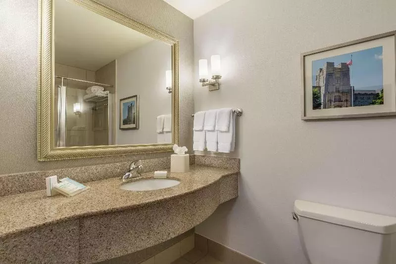 キングサイズベッドのスタンダードルーム, Hilton Garden Inn Blacksburg University