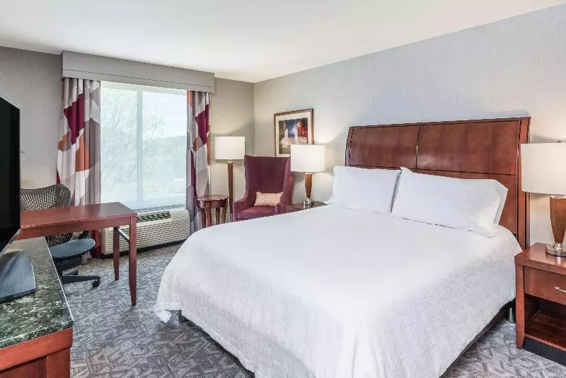 キングサイズベッドのスタンダードルーム, Hilton Garden Inn Blacksburg University