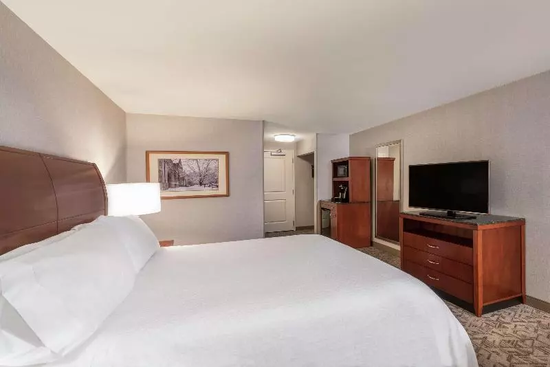 キングサイズベッドのスタンダードルーム, Hilton Garden Inn Blacksburg University