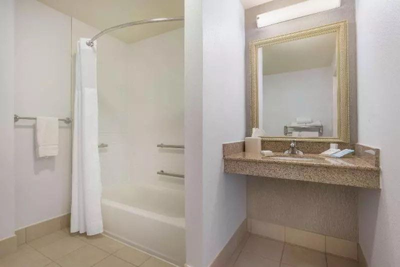 キングサイズベッドのスタンダードルーム, Hilton Garden Inn Blacksburg University