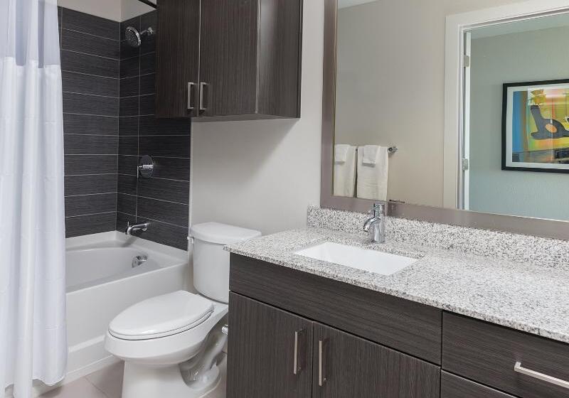 Стандартный Номер Кровать Кинг, Hilton Garden Inn Blacksburg University