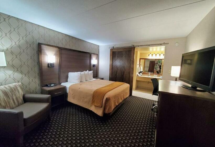 غرفة قياسية, Ramkota Hotel Watertown