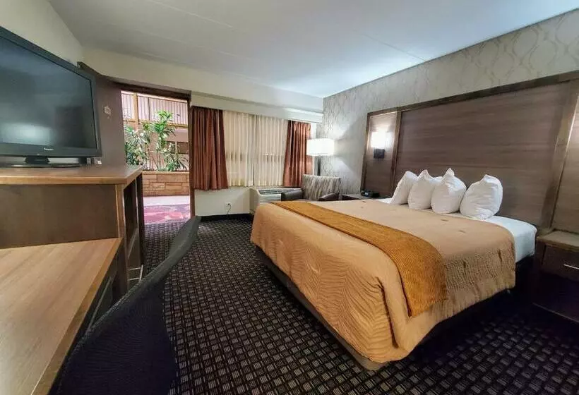 اتاق استاندارد, Ramkota Hotel Watertown