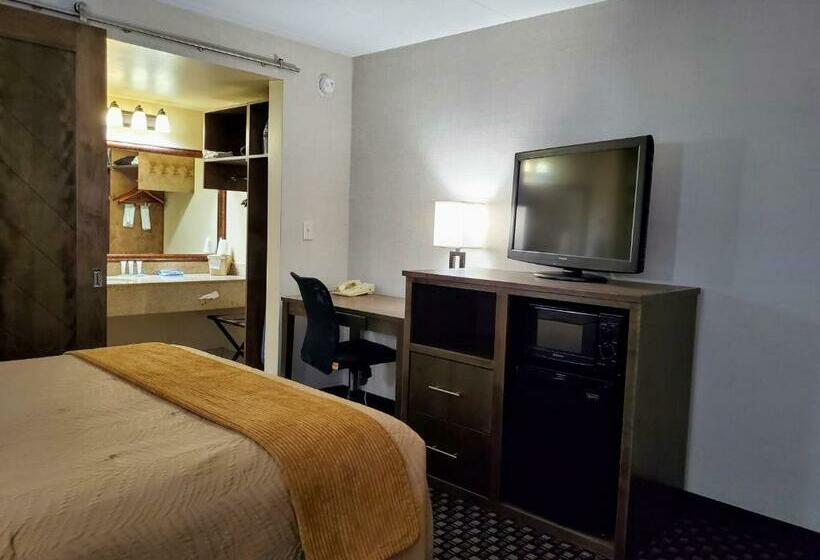 اتاق استاندارد, Ramkota Hotel Watertown