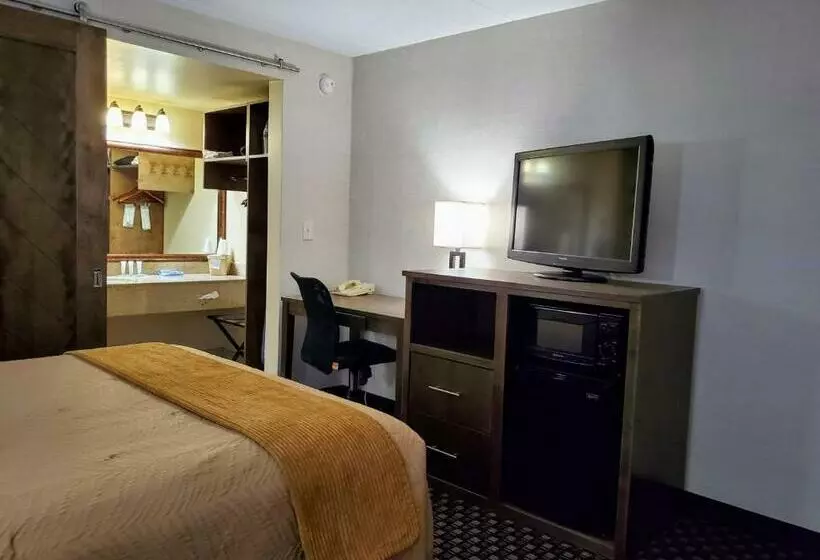 اتاق استاندارد, Ramkota Hotel Watertown
