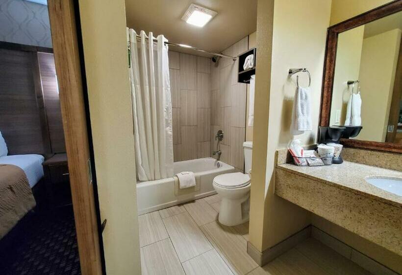 غرفة قياسية, Ramkota Hotel Watertown