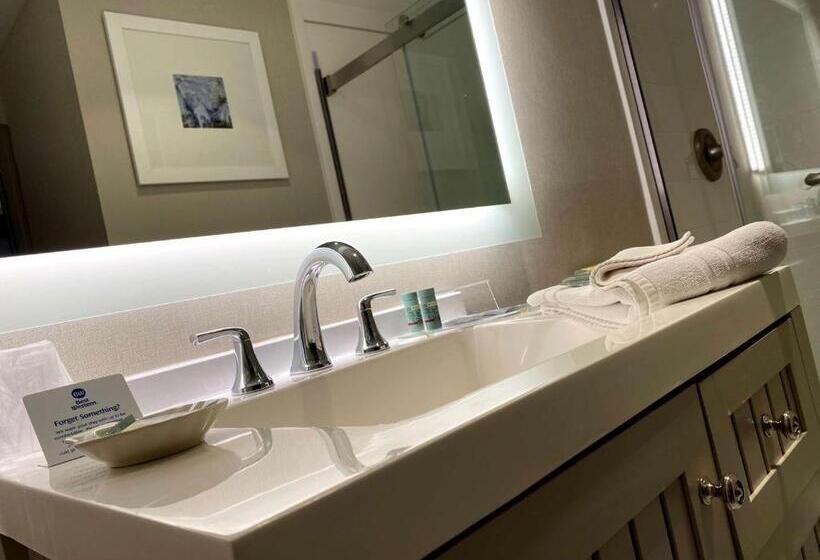 Suite, The Westfield Inn, Bw Signature Collection