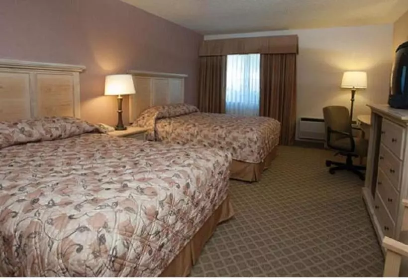 デラックスルーム, Wallace Inn